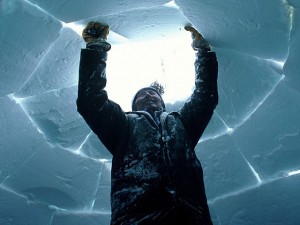pic_wonder_igloo_lg